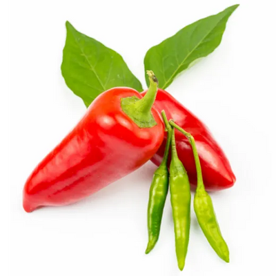 Capsicum Annum